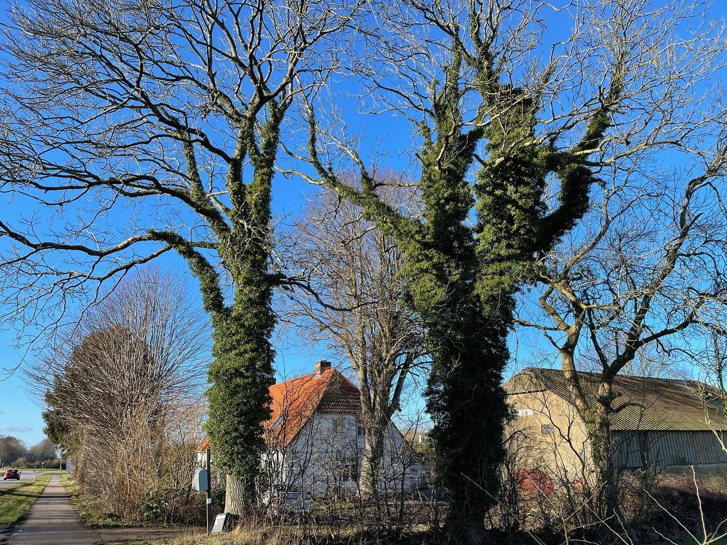 Vi har købt Hvilhøj