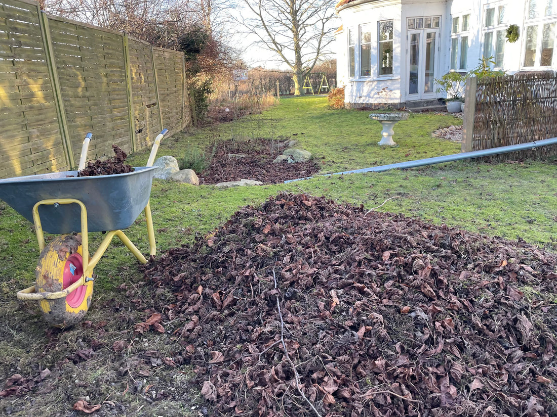 Årets sidste haveuger