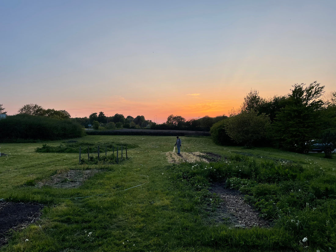 Foråret 2023 på Hvilhøj