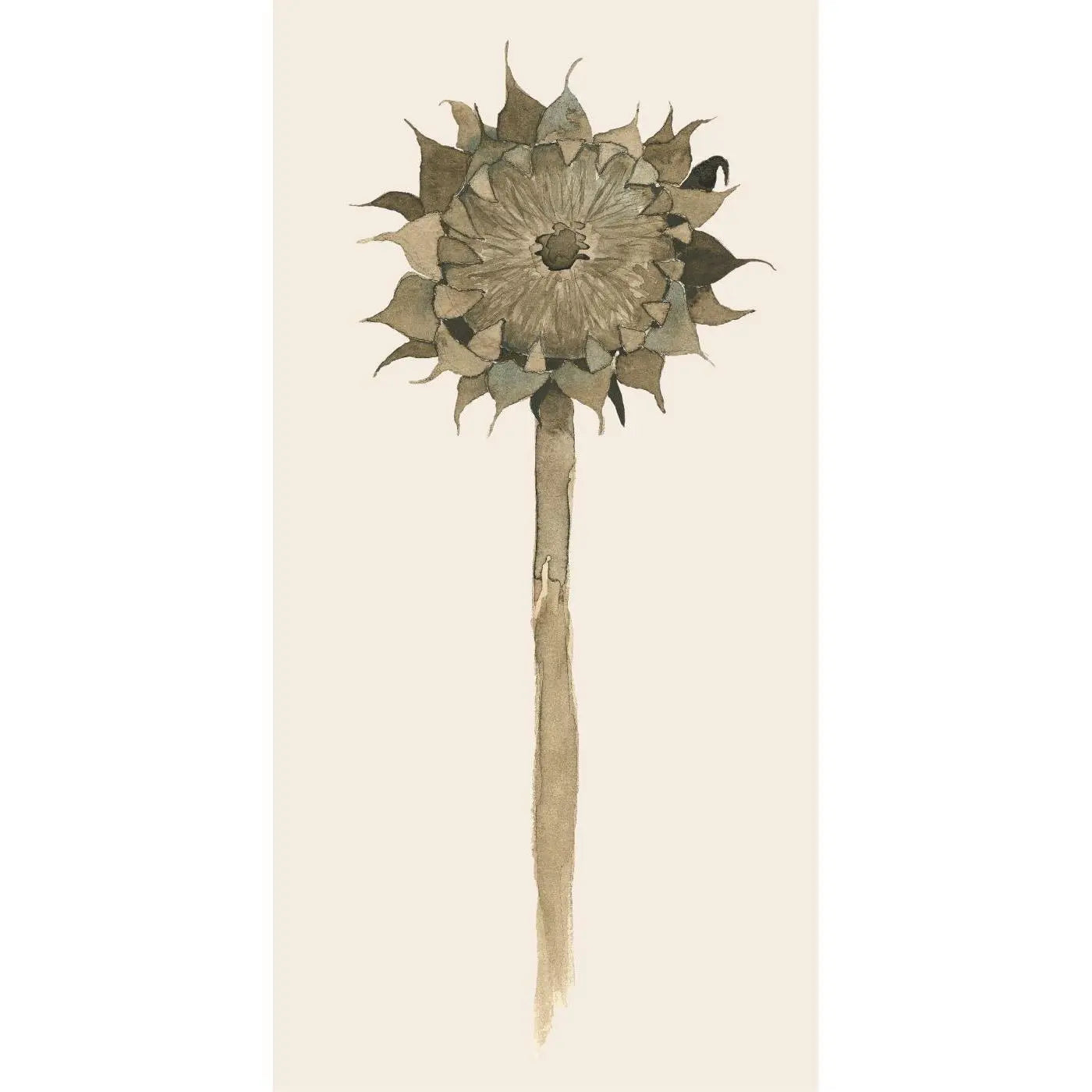 Serviet - Solsikke i forfald