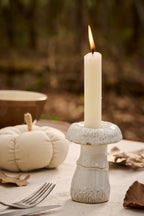 Stage t/2,2 cm lys svamp